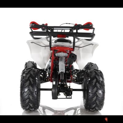 Квадроцикл MOTAX ATV Raptor LUX 125 сс Бензиновый