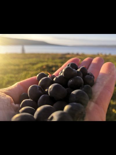 Тур на полуостров Рыбачий (4 дня)