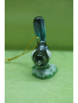 Сорока - Птицы России