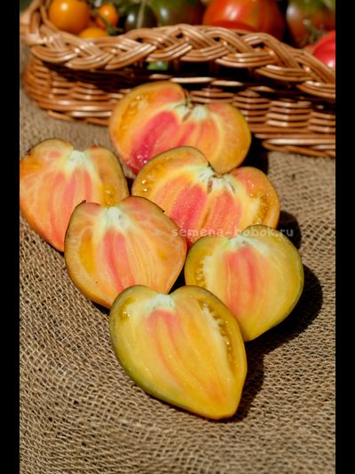 Томат Ананасный Сержант, 10 шт