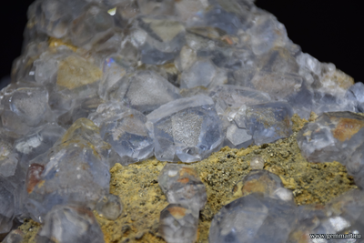 Флюорит- друза фантомных голубых кристаллов с пиритом на породе