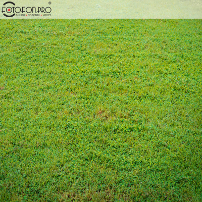 Фотофон 3D пазловый «Весеннее чаепитие»