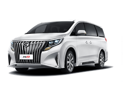 Шумоизоляция GAC Trumpchi M8 / ГАК Трампчи М8