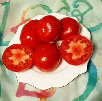 Семена томата Скорсби Гном