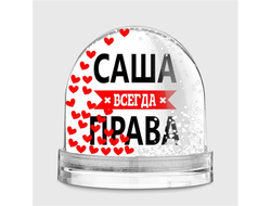 Водяной шар Саша Всегда Права