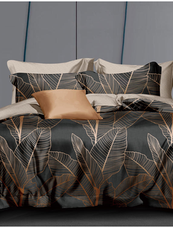 Постельное белье евро TANGO Dream Fly микросатин 200x220x1 220x245x1 50x70x2 DF03-464