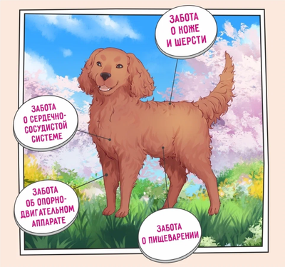 ZILLII Adult Dog Корм сухой для взрослых собак всех пород Индейка с Ягненком 0.8 кг