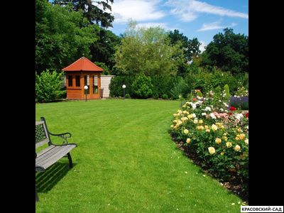 Рулонный газон Медвежья Поляна