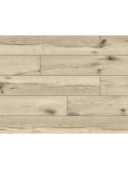 Classen Ламинат Expedition 55013 Дуб Ниса