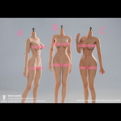 Супер-подвижное бесшовное женское тело (ТЕЛОИД) 1/6 - Articulated Silicone Medium Bust Female Body seamless legs (VCD-02B) - VERYCOOL