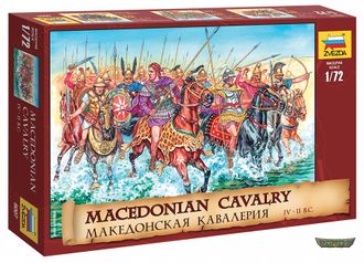 8007. Македонская кавалерия. (1/72 35мм)