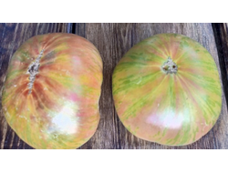 Томат Мятные полосы (Dwarf Peppermint Stripes)