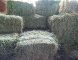 Сено стружка солома