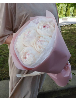 5 пионов в розовом