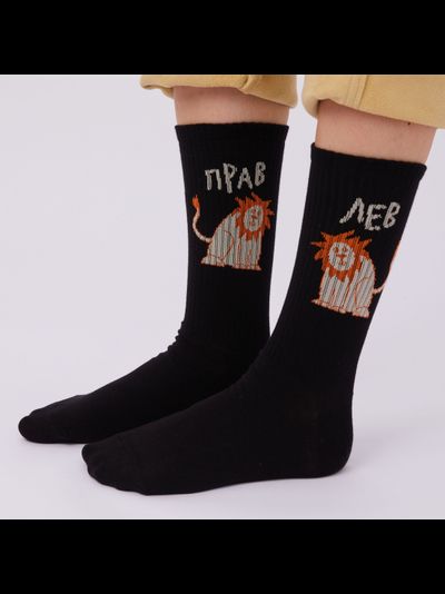 Я лев, ты прав!