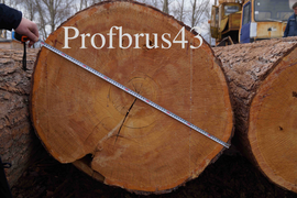 Эксклюзивная рубка бани из кедра