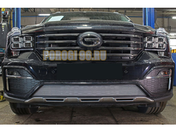 Защита радиатора GAC GS8 2016- (GE/GL) chrome низ