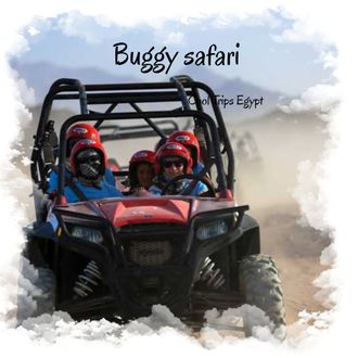 Buggy safari - 4 seats buggy (sunrise, morning or afternoon)