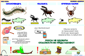 Ядовитые и жалящие животные  (13 шт), комплект кодотранспарантов (фолий, прозрачных пленок)