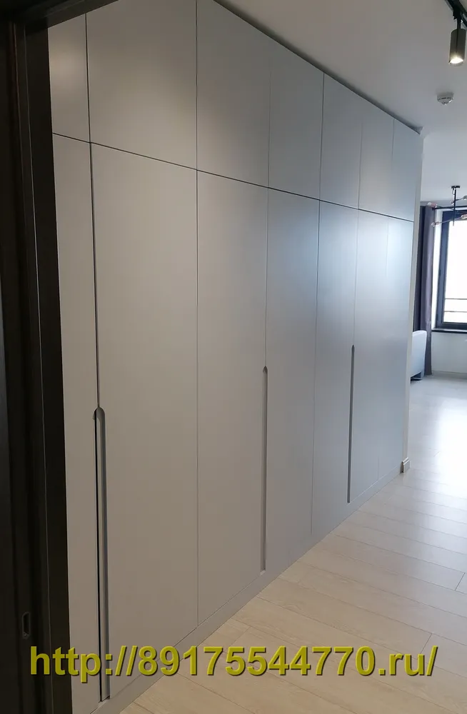 018-1 Шкаф встроенный в нишу с распашными дверьми, в прихожей.
Фасады МДФ покраска.
