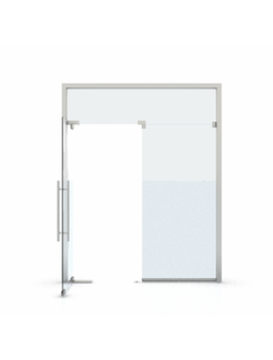 двери Двери стеклянные 001