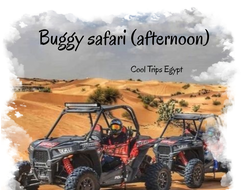 Buggy safari in the afternoon (2 hours program) (El Quseir, Port Ghalib, Marsa Alam)