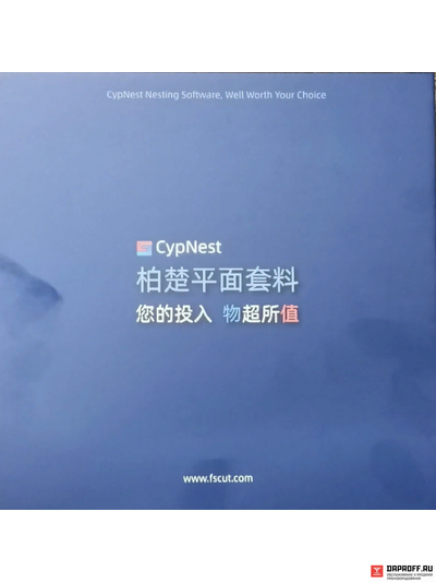 Лицензионный ключ CypNest (PRO), бессрочный