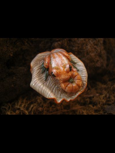 Кольцо с лягушкой "Принцесса Тыковка, наследница Урожайных Полей"