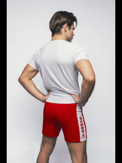 Шорты для самбо ВФС BRAVEGARD Победа красные