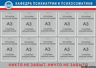 Кафедра психиатрии и психосоматики 1700х1200мм