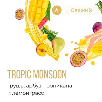 ELEMENT V 25 г. - TROPIC MONSOON (ГРУША-АРБУЗ-ТРОПИКАНА-ЛЕМОНГРАСС)