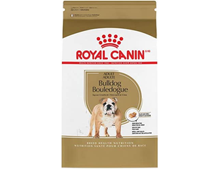 Bulldog adult online