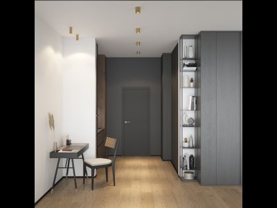 Накладной светильник SHINE TUBE DK2610-SB