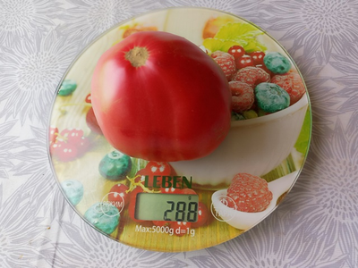 Томат Белорусское сердце