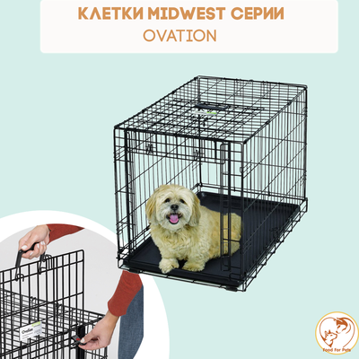 Клетка д/птиц тоша eco 41*30*76см (поилка,кормушка,жердочки) рубин/4057/дарэлл. Клетка midwest contour для собак, 2 двери, 63х46х49 см. Клетка midwest life stages для собак 109х73х77h см, 2 двери, черная. Pet kennel клетка упаковка. Клетка черная 1 дверь midwest 91х58х64h icrate 27001.