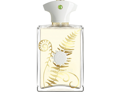 Аромат Amouage Bracken Men