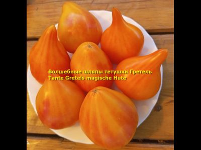 Томат Волшебные шляпы тетушки Гретель (Tante Gretels magische Hute)