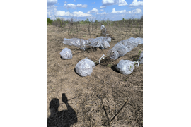 Посадка крупномеров и их подготовка, весна 2025