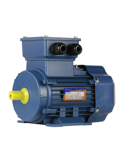 Электродвигатель 5АИ 63B2 (0,55 кВт) IM 1081