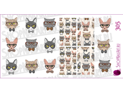 Слайдер-дизайн 305 - Коты в очках, арт, рисунок