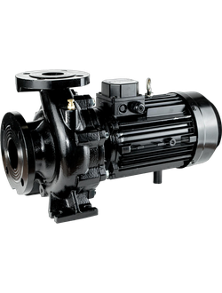 NBW 65-50-160-5.5/2-G