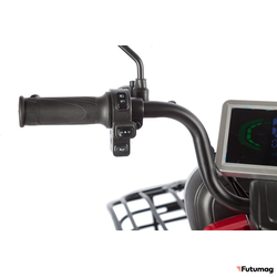 Электротрицикл Rutrike Gelbert Kappa 48V/60V 650Вт красный