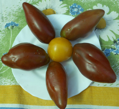 Томат Кубинский перцевидный