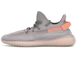 Adidas Yeezy Boost 350 V2 Trfrm True Form (Non-Reflective)