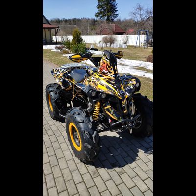 Can-am BPR Renegade #1950