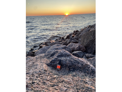 Духи НОТА: ЮНАЯ КОЖА, 2.5 мл