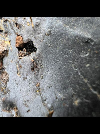 Смола Алоэ - Сабур ( Кения ) 10 гр.