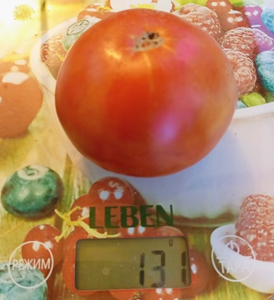 Томат Весенние заморозки