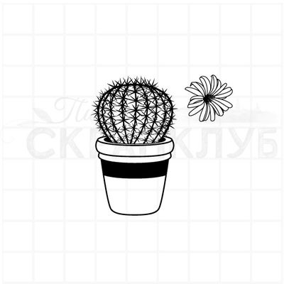 Штамп с кактусом и цветком