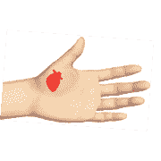 Зона сердца Су Джок. ДЭНАС ПКМ [НЕЙРОДЭНС] 